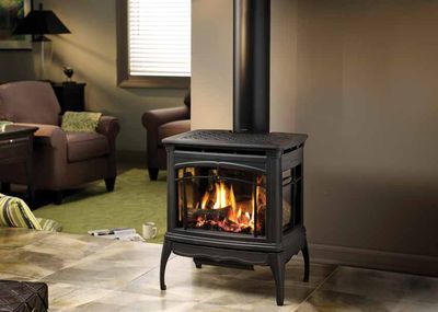 Hearthstone: Bristol DX 8763 - NG — primary view